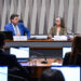 Soberania e custo de exploração de terras raras são destaque em audiência na CI — Senado Notícias