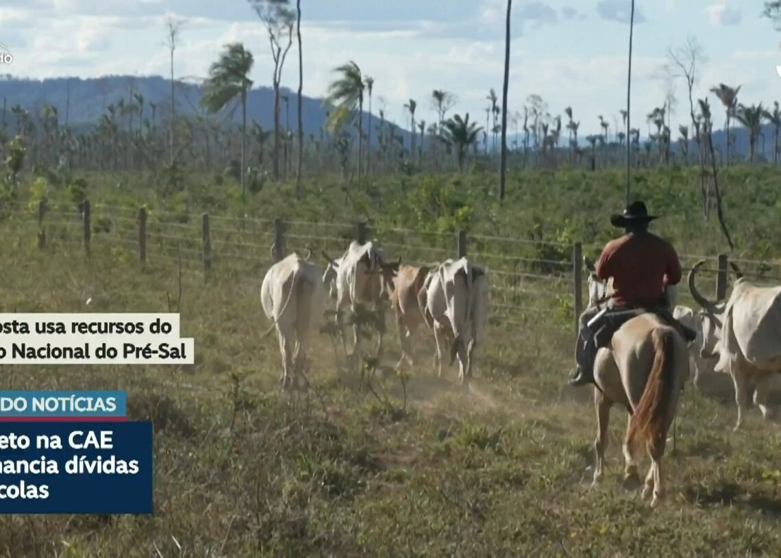 Senado e governo negociam projeto sobre renegociação de dívidas rurais — Senado Notícias