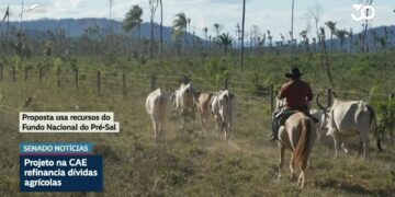 Senado e governo negociam projeto sobre renegociação de dívidas rurais — Senado Notícias
