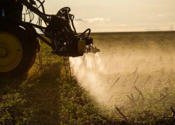 Agronegócio poderá usar linha de crédito do FAT para inovação