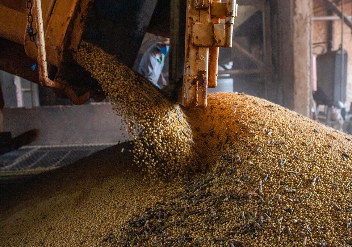 Economia brasileira cresce 1,1% no 1º trimestre