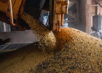 Economia brasileira cresce 1,1% no 1º trimestre