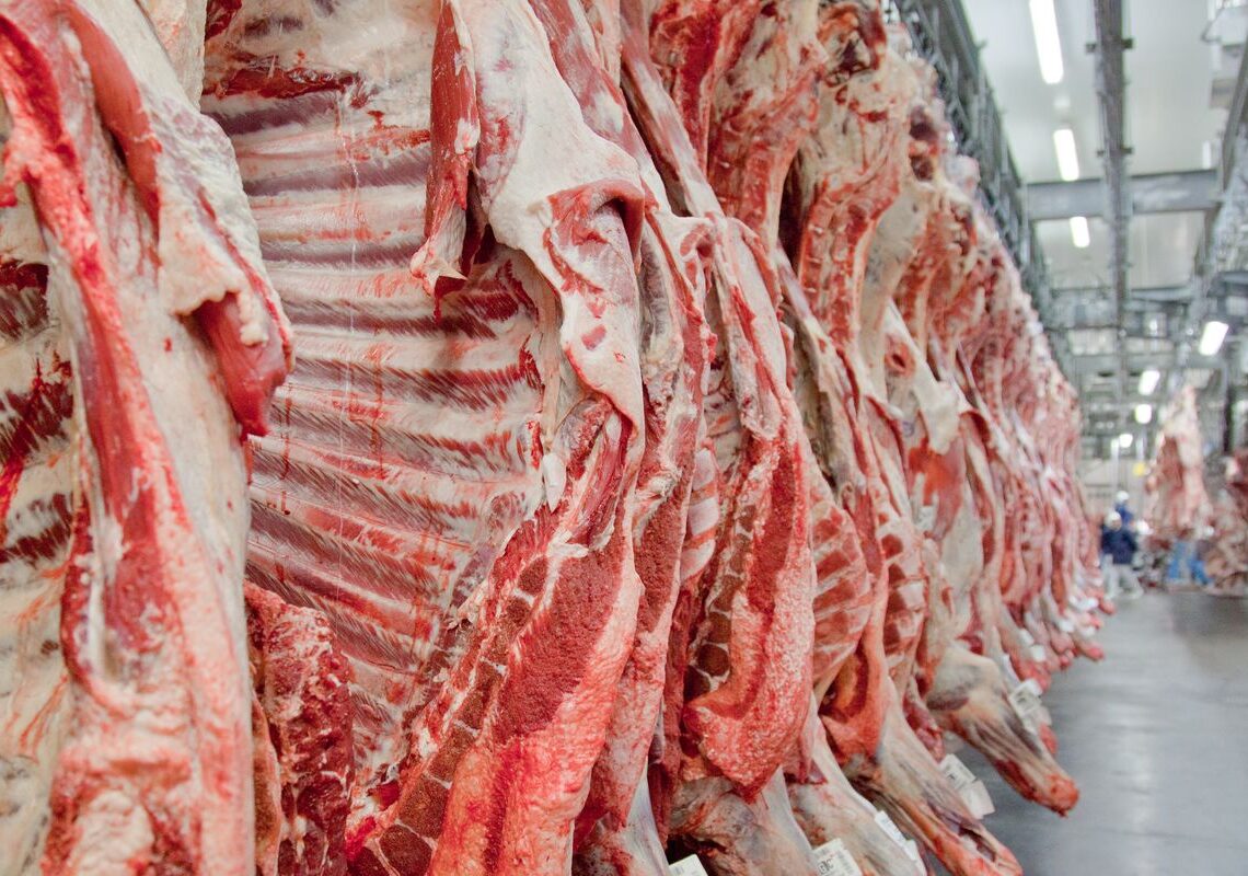 Governo promete reverter veto da UE a carnes e animais brasileiros
