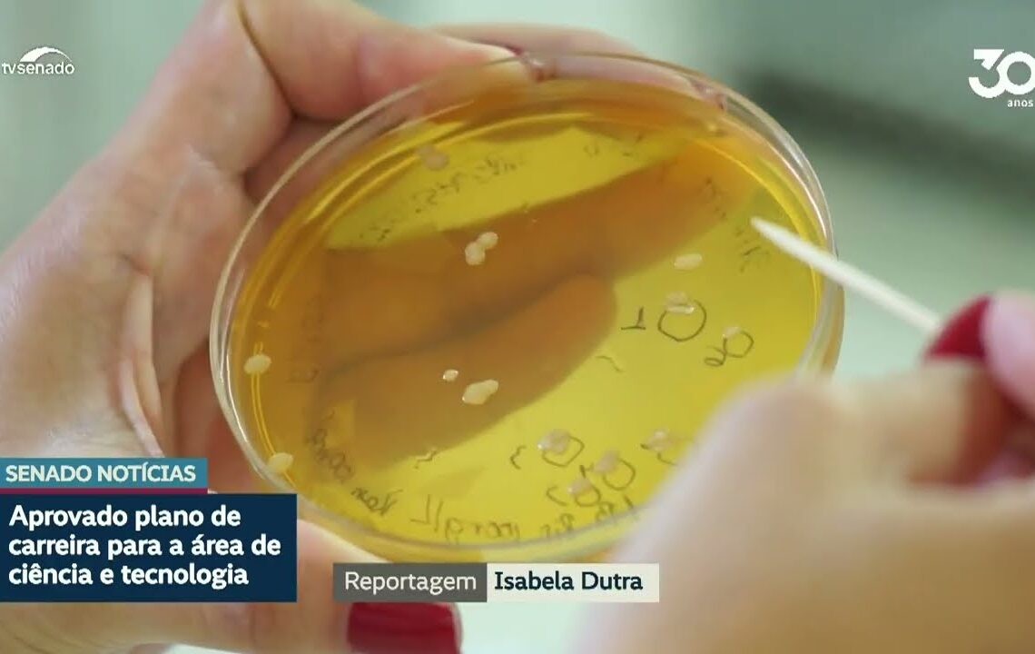 Aprovado projeto que amplia carreiras da área de Ciência e Tecnologia — Senado Notícias