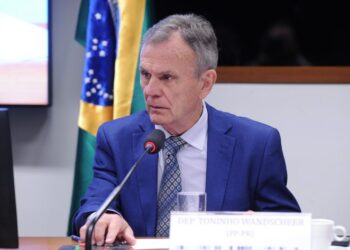 Comissão aprova financiamento de casas de madeira no Minha Casa, Minha Vida – Notícias