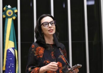 Comissão debate papel de universidades na reconstrução da Zona da Mata mineira – Notícias