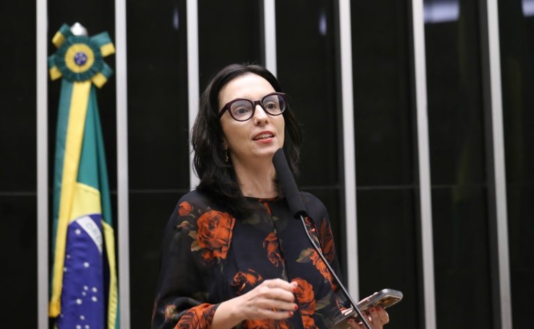 Comissão debate papel de universidades na reconstrução da Zona da Mata mineira – Notícias