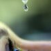 Oftalmologistas lançam campanha 24 Horas pelo Glaucoma