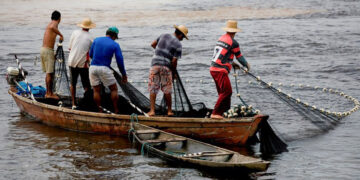 Lei que altera regras do seguro-defeso é sancionada com vetos — Senado Notícias