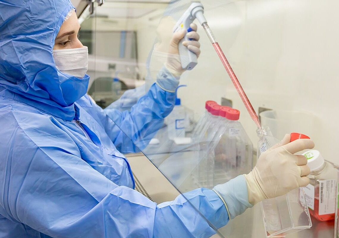 Estudo usa células-tronco contra complicações do transplante de medula