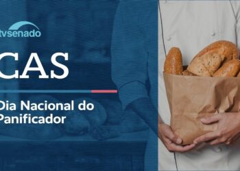 CAS debate criação do Dia Nacional do Panificador – 16/6/26 — Senado Notícias