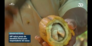 Comissão aprova MP que reduz prazo de benefício para importador de cacau — Senado Notícias