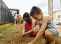 Natureza e saberes tradicionais guiam projeto premiado em escola rural