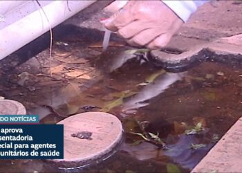 CCJ aprova aposentadoria especial para agentes de saúde e de endemias — Senado Notícias