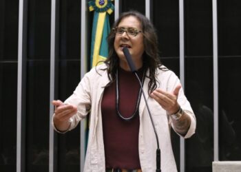 Comissão aprova projeto que obriga instalação de telhados verdes em novos prédios públicos – Notícias