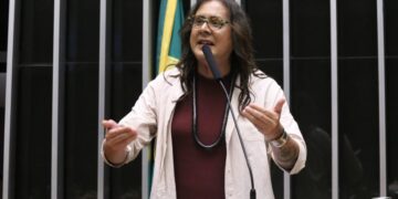 Comissão aprova projeto que obriga instalação de telhados verdes em novos prédios públicos – Notícias