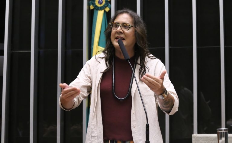 Comissão aprova projeto que obriga instalação de telhados verdes em novos prédios públicos – Notícias