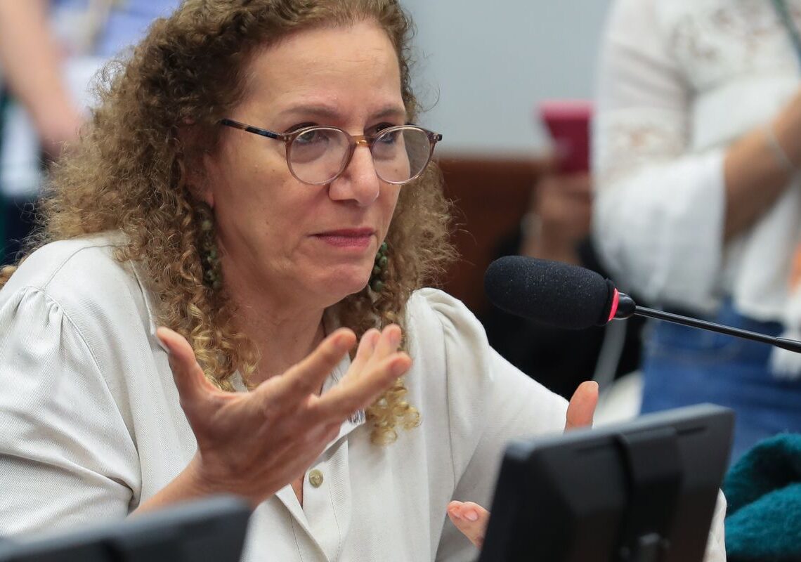Parlamentares governistas vão aos EUA apresentar contraponto à direita