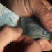 Com novo título, vendas do Tesouro Direto superam R$ 10 bi em maio
