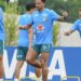 Brasil faz penúltimo treino e viaja para o Texas onde enfrenta Japão