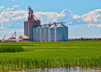Credenciamento de armazéns agropecuários no sistema público agora é opcional — Senado Notícias