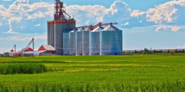 Credenciamento de armazéns agropecuários no sistema público agora é opcional — Senado Notícias