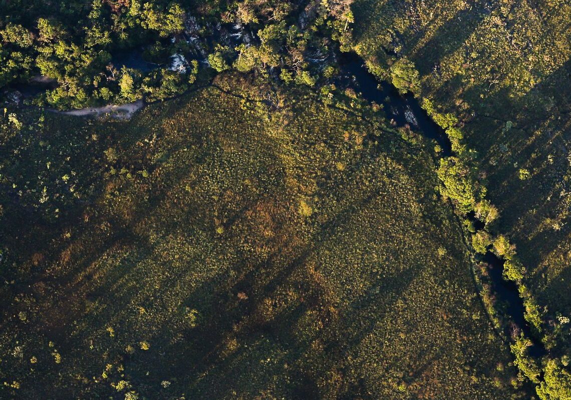 Financiamentos a projetos rurais sustentáveis terão juros mais baixos