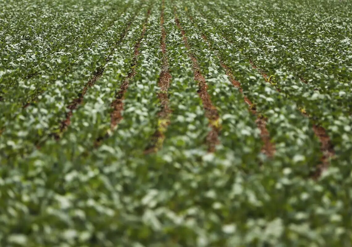 Reunião com bancada do agro termina sem acordo sobre dívidas rurais