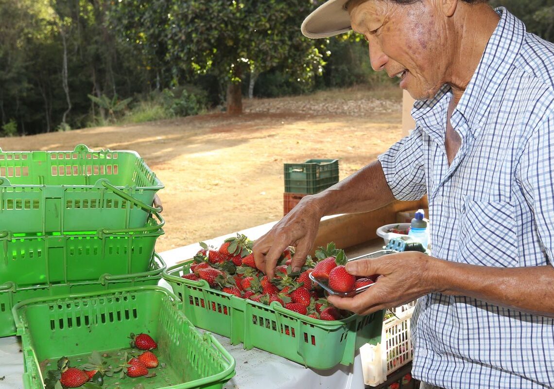 Finep vai pagar R$ 220 milhões para inovações em agricultura familiar 