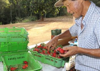 Finep vai pagar R$ 220 milhões para inovações em agricultura familiar