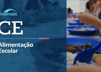 Vídeo: Ao vivo: CE debate assistência estudantil na educação profissional – 6/7/26