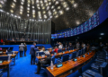 Sessão especial vai celebrar os 120 anos do primeiro voo do 14-Bis — Senado Notícias