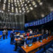 Sessão especial vai celebrar os 120 anos do primeiro voo do 14-Bis — Senado Notícias