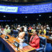 Senado celebra os 12 anos do Marco Regulatório das Organizações da Sociedade Civil — Senado Notícias