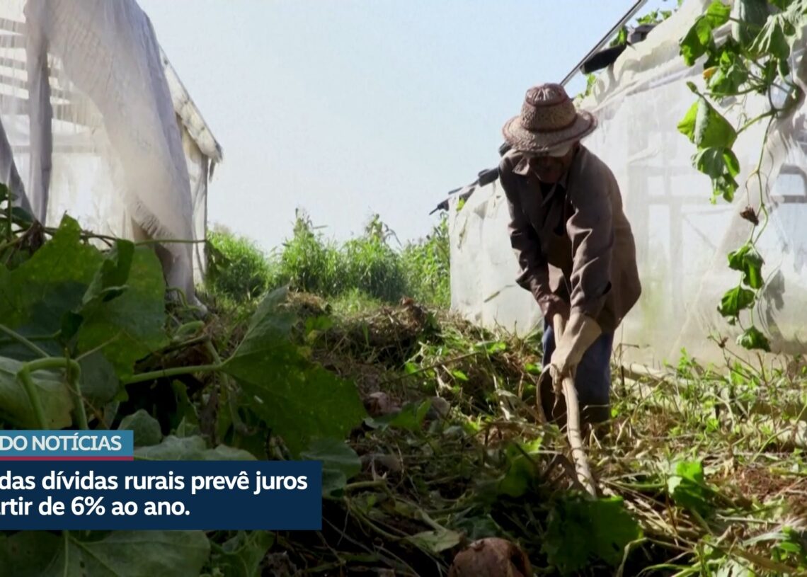Entenda a MP das dívidas rurais — Senado Notícias