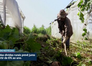 Entenda a MP das dívidas rurais — Senado Notícias