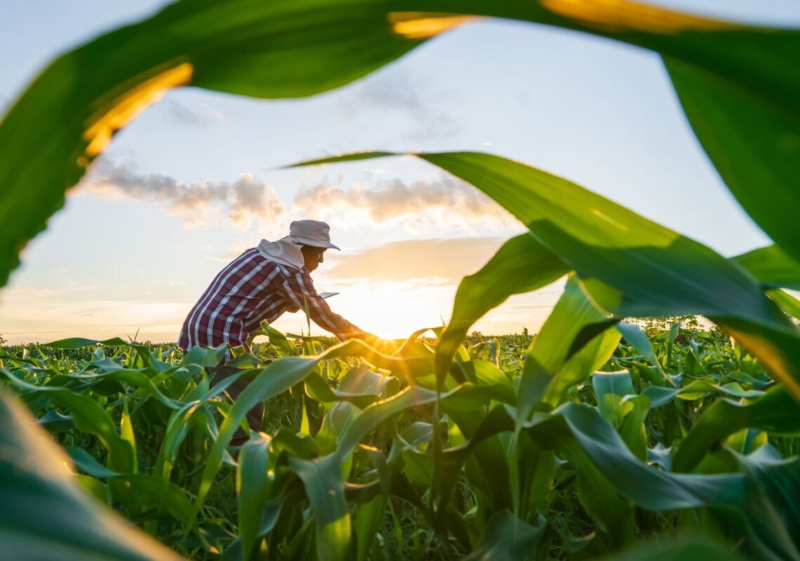 MP de dívida rural foca em perdas climáticas, diz Durigan