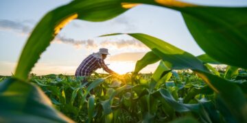 MP de dívida rural foca em perdas climáticas, diz Durigan