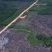 Eco Invest Brasil promove quinto leilão para financiar inovação
