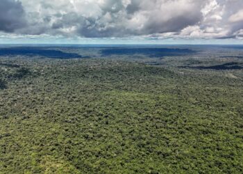 Adversária em campo, Noruega é parceira de ações ambientais do Brasil