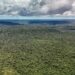 Adversária em campo, Noruega é parceira de ações ambientais do Brasil