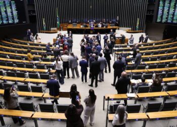 Câmara aprova MP que destina recursos para recuperação de cidades da Zona da Mata mineira – Notícias