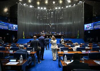 Projeto que cria ‘Pix Pensão’ é aprovado em Plenário — Senado Notícias