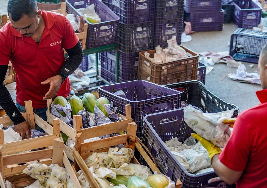 Governo anuncia crédito de R$ 97,3 bi para agricultores familiares