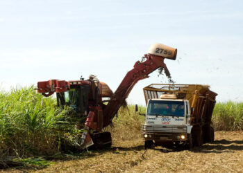MP prevê incentivo financeiro a produtores de cana do Nordeste — Senado Notícias