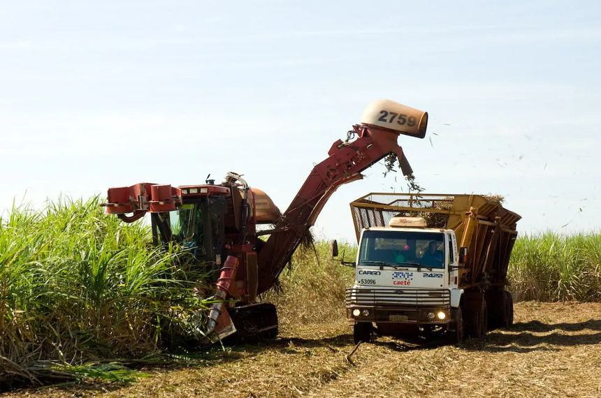 MP prevê incentivo financeiro a produtores de cana do Nordeste — Senado Notícias