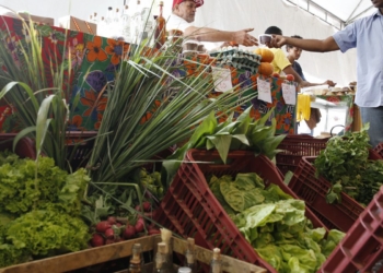 Decreto adia exigência de CNPJ para autônomos e produtores rurais