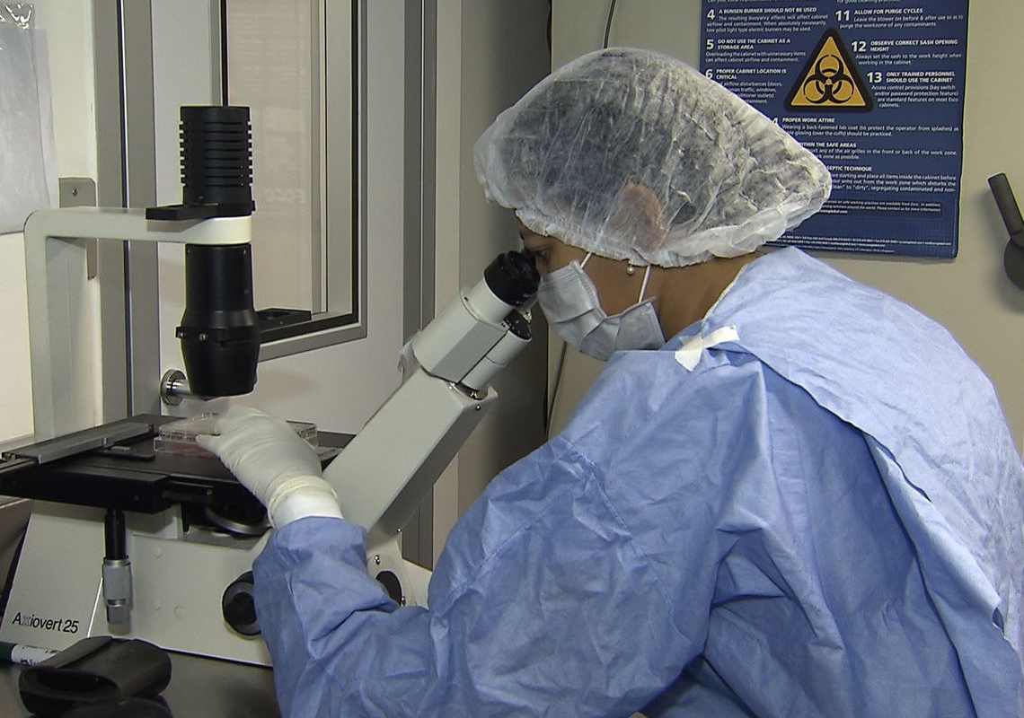 Como cientistas “curaram” infectados com HIV