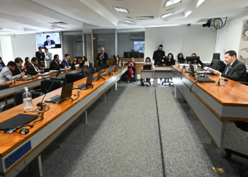 CSP pode votar porte de arma para mulheres com medida protetiva — Senado Notícias