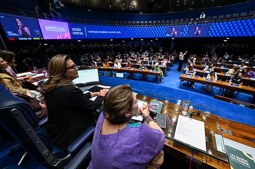 Sessão destaca avanços e desafios após 20 anos da Lei Maria da Penha — Senado Notícias